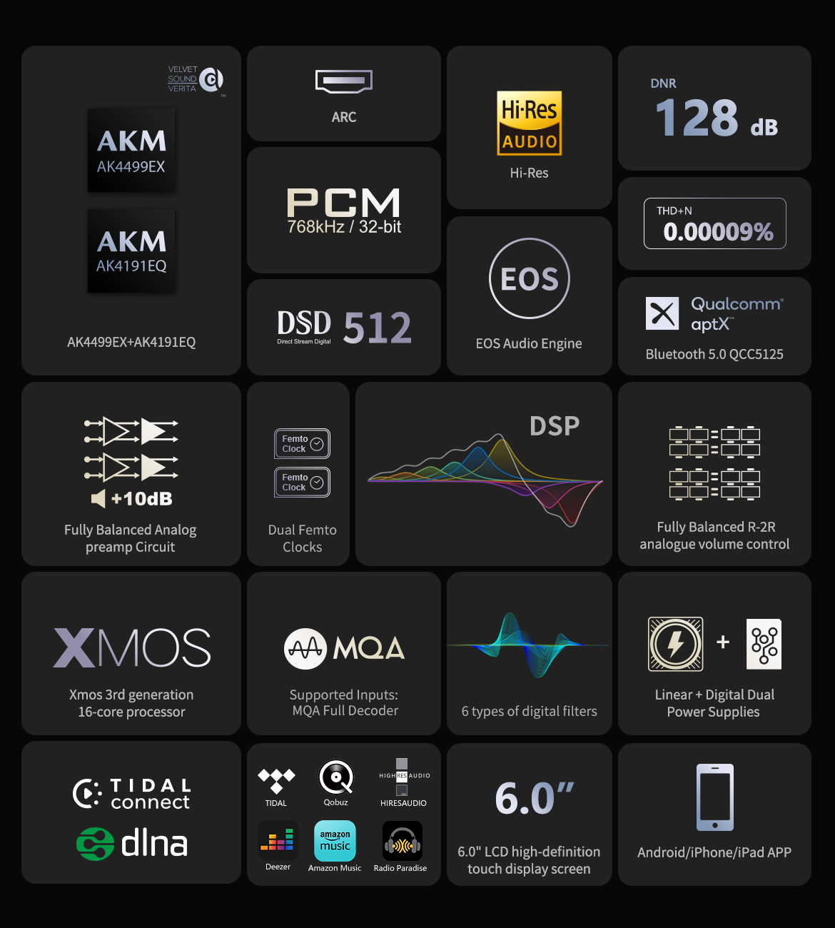 EverSolo DMP-A8